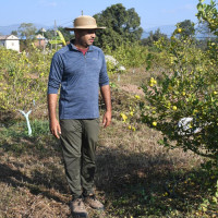 सहकारी र वैदेशिक रोजगारीका नाममा ठगी गर्नेलाई कारबाही गर्न माग