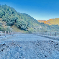 सहकारी र वैदेशिक रोजगारीका नाममा ठगी गर्नेलाई कारबाही गर्न माग