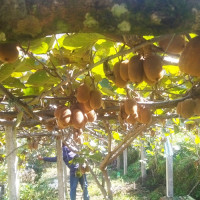 ‘एक्लेसालको पहिरो’ व्यवस्थापनका लागि तीन करोड