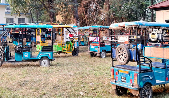 हिम्मत नहारेको निजी क्षेत्र