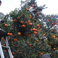 हिम्मत नहारेको निजी क्षेत्र