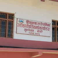 किबी खेतीको आकर्षण बढ्दो