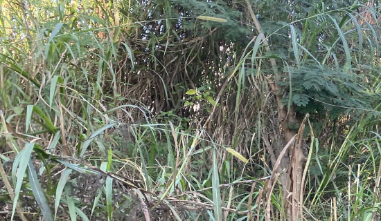 मुलुकको विकास र स्थायित्वका लागि दुई ठुला राजनीतिक दलको सरकारः प्रधानमन्त्री