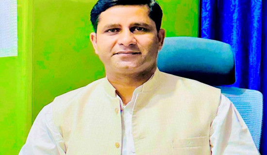 योजना आयोगको सदस्यमा ढुङ्गाना