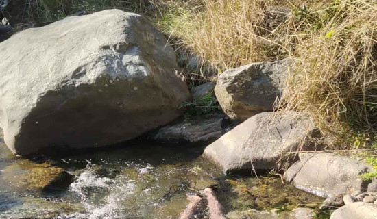 खोलामा डुबेर एक युवाको मृत्यु