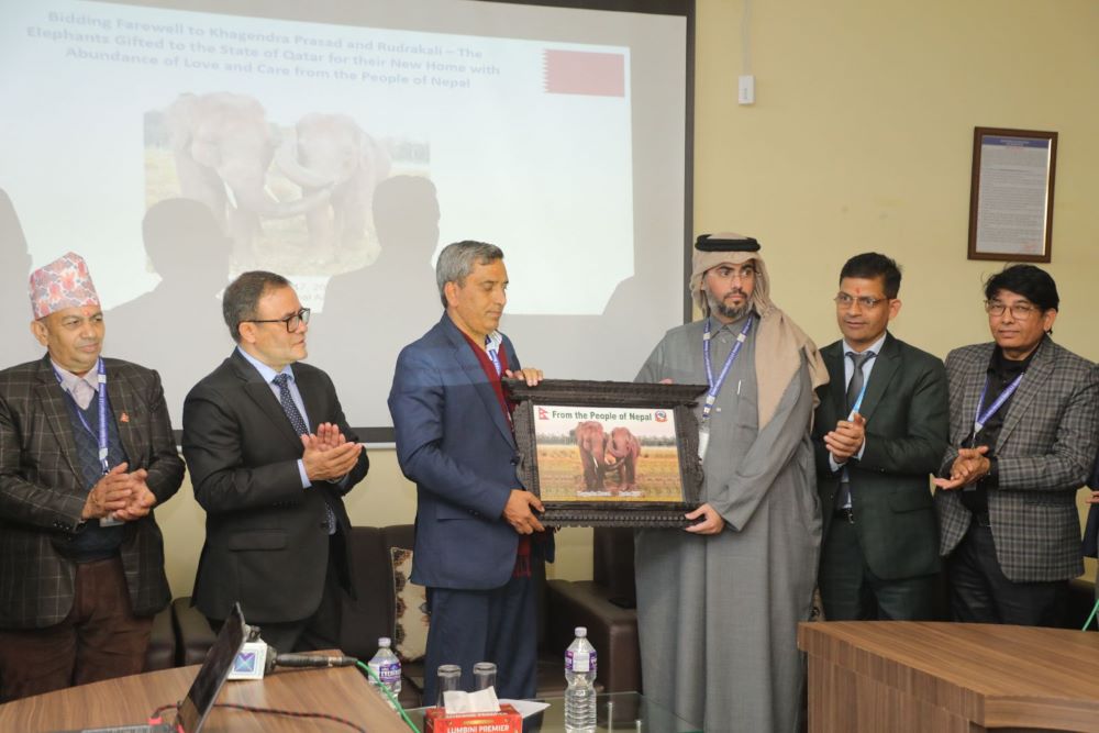 कतार उडे खगेन्द्रप्रसाद र रुद्रकली