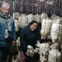 चार दशकमा १७५ घडियाल गोहीका बच्चा