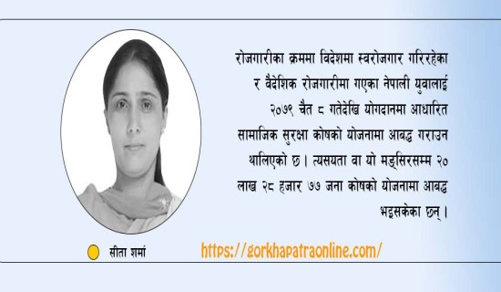 वैदेशिक रोजगारी नीति राम्रो, कार्यान्वयन फितलो