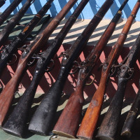 हुम्लामा लम्पी स्किन रोगबाट ९६१ पशु मरे