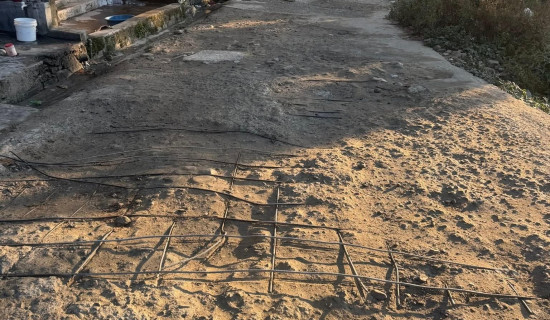 ढोरपाटनमा सामूहिक स्याउखेती