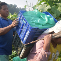 विद्यालयमा पठनपाठन सुरु, तिहार कुर्दै क्षतिग्रस्त शैक्षिक संरचना