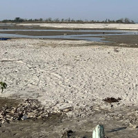 पुष्प खेतीतर्फ आकर्षण मुगुका किसान