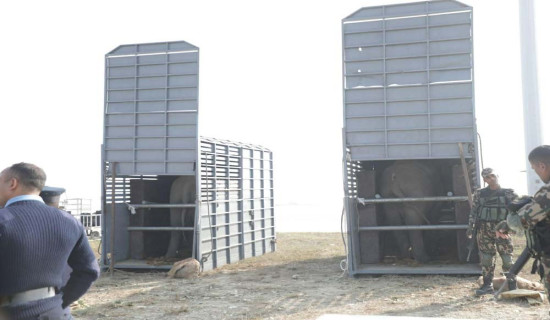 खगेन्द्रप्रसाद र रुद्रकलीलाई पठाइयो कतार