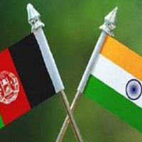 राज्यविरुद्धको कसुर, ठगी र सङ्गठित अपराध गरेको प्रहरीको दाबी