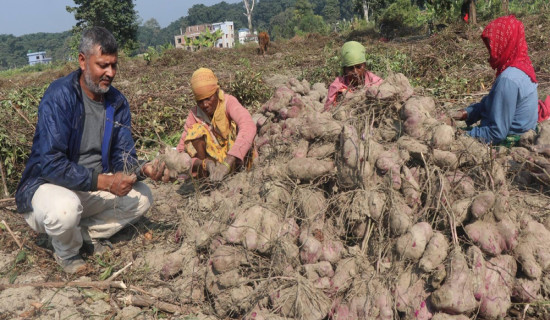 आगलागी हुँदा लाखौंको क्षति