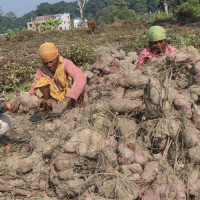 गृह मन्त्रालयले दियो जेनजी घाइतेको वर्गीकरणलाई तीव्रता