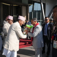 बजारमा गाईजात्राका लागि आवश्यक सामान  (फोटो फिचर)