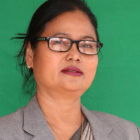 संसारभर मनाङलाई चिनाउने योजना छ