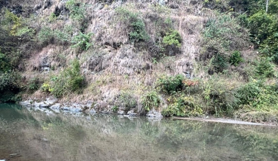 गुल्मीमा एक वर्षमा ६७ जनाको घरबाहिर शव फेला