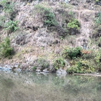 ‘बाढीपहिरो त रोकियो, गाउँमा बस्न सक्ने अवस्था छैन’