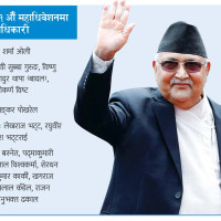 संविधानको रक्षाका लागि गठबन्धन : नेता सिंह