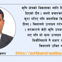 महिला हिंसामा साइबर