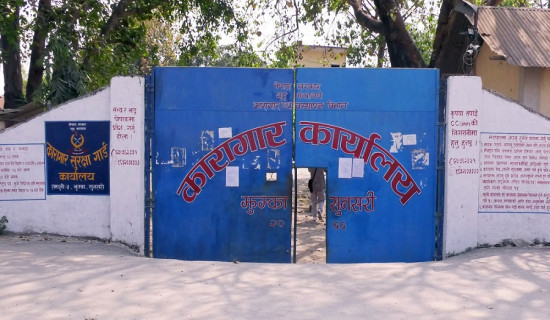 फरार ४९४ कैदीबन्दी सम्पर्क बाहिर