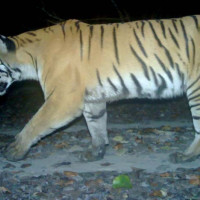 व्यवसायीद्वारा थप आन्दोलनको कार्यक्रम घोषणा