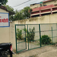 किसानलाई धानको बीउ र मकै जोगाउनै मुस्किल