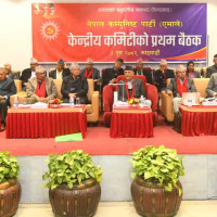 गहुँतबाट मल र जैविक विषादी