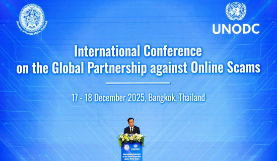 सवारी दुर्घटना : एक वर्षमा ८७ जनाको मृत्यु