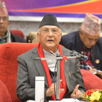 समावेशी सिद्धान्तअनुसार सञ्चारनीति ल्याउन आग्रह