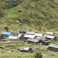 एकैदिन पन्ध्र सय भक्तजनले गरे पाथीभरा दर्शन