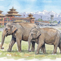 तेह्र लाखभन्दा बढी नगदसहित १४ जना पक्राउ