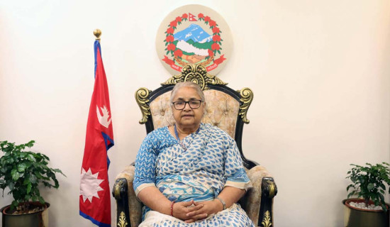 रुग्ण उद्योग अध्ययन गर्न कार्यदल गठन