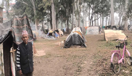 हिल्सा नाकामा व्यापार सहज नभएको गुनासो