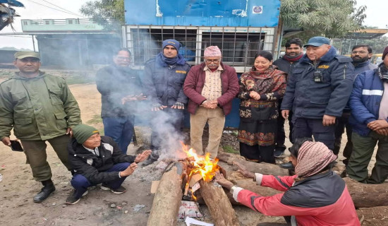 चिसो बढेसँगै चोक–चोकमा दाउरा वितरण