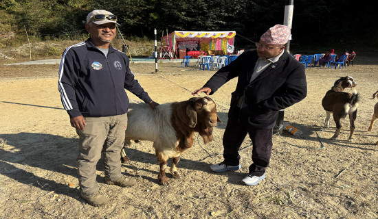 फेदीखोलाद्वारा ११० कृषक सम्मानित