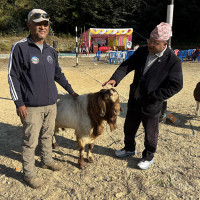 रोकियो हाइअल्टीच्यूड खेल मैदानको निर्माण