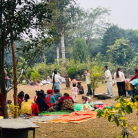 व्यावसायिक फूलखेती