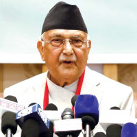 गुल्मीको मरभुङ्गमा गोठ जल्दा १२ पशुचौपाया मरे