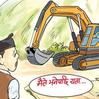 गुल्मीको मरभुङ्गमा गोठ जल्दा १२ पशुचौपाया मरे