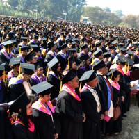 गुल्मीको मरभुङ्गमा गोठ जल्दा १२ पशुचौपाया मरे