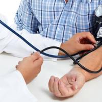 गुल्मीको मरभुङ्गमा गोठ जल्दा १२ पशुचौपाया मरे