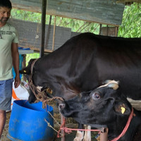 ‘बिमाको दायरा बढाएर पाँच लाख पुर्‍याउने प्रस्ताव महत्त्वाकाङ्क्षी छ ’