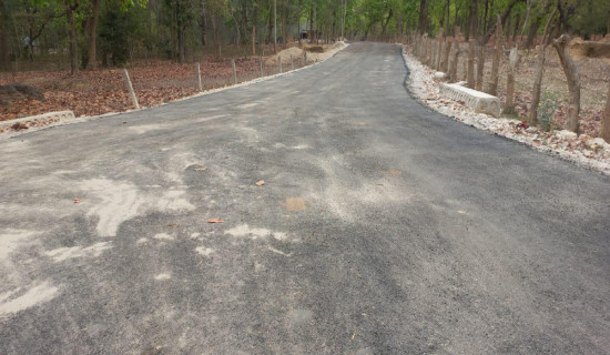 ‘बिमाको दायरा बढाएर पाँच लाख पुर्‍याउने प्रस्ताव महत्त्वाकाङ्क्षी छ ’