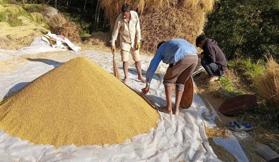 ‘राष्ट्रिय सहमति भए ई–भोटिङ’