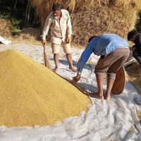 वैदेशिक रोजगारीमा जाने श्रमिकको स्वास्थ्य परीक्षणको शुल्क वृद्धि खारेज