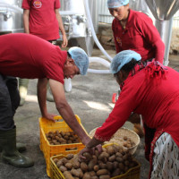 सरकारी खर्चमा व्यापक कटौती