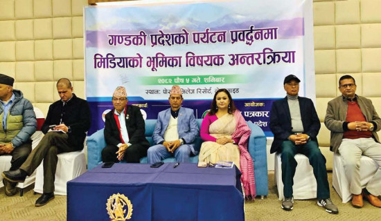 पोखरामा पत्रकार भेला : एघारबुँदे घोषणापत्र जारी